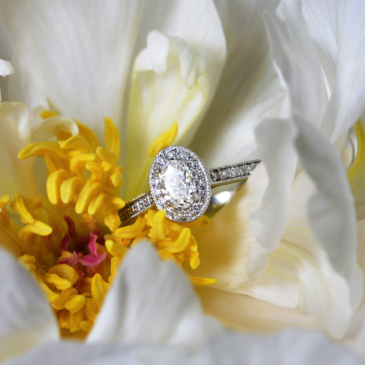 D Colour Oval Cut Diamond Halo Engagement Ring - Image 2